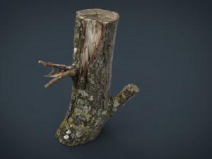 wood log 3 3D Model