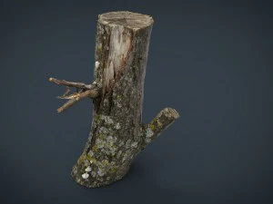 wood log 3 3D Model