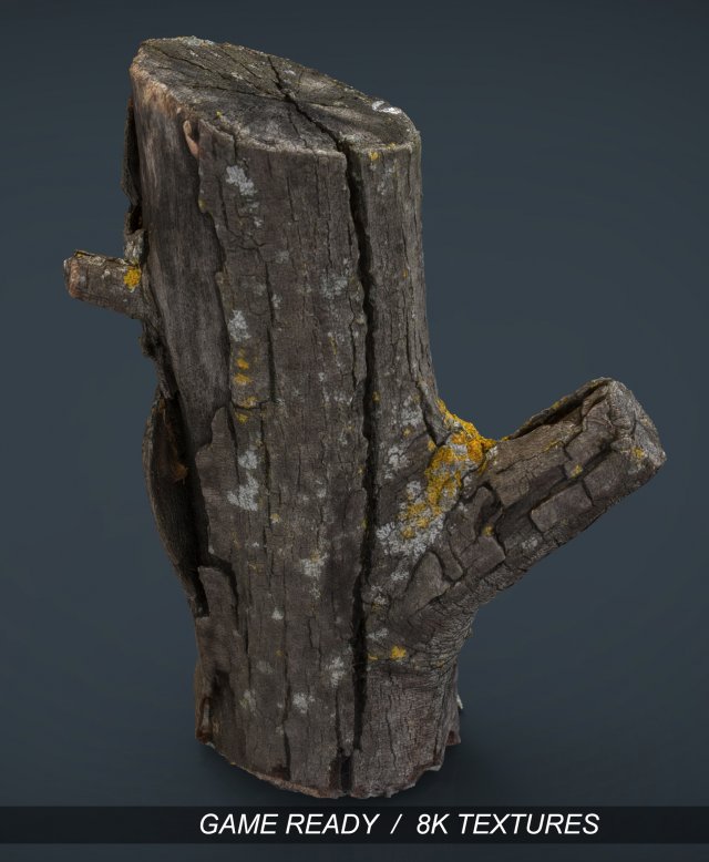 wood log 4 3D 模型 .c4d .max .obj .3ds .fbx .stl .blend 