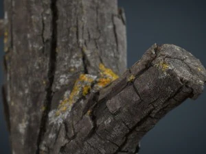 wood log 4 3D Model