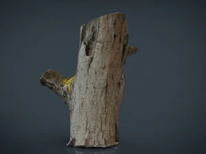 wood log 4 3D Model
