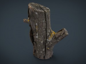 wood log 4 3D 模型