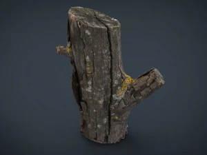 wood log 4 3D Model