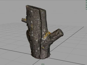 wood log 4 3D Model