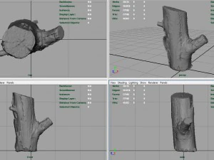 wood log 4 3D Model