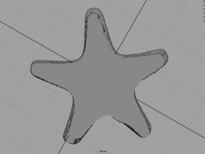 starfish Modèle 3D