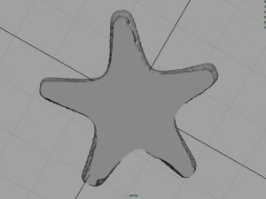 starfish 3D Model