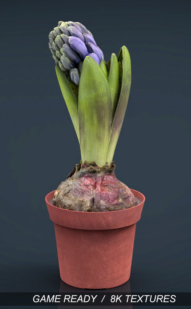 plant1 3D-Modell .c4d .max .obj .3ds .fbx .stl .blend 
