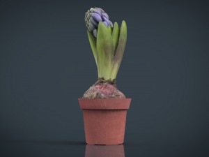 plant1 3D-Modell