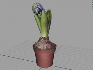 plant1 3D-Modell