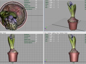 plant1 3D-Modell