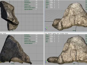 rock 10 3D Model