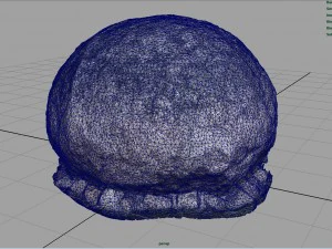 rock 12 3D Model