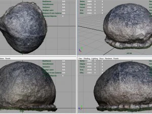 rock 12 3D Model