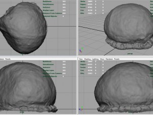 rock 12 Modello 3D
