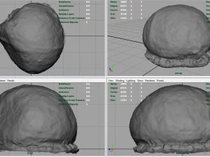 rock 12 3D Model