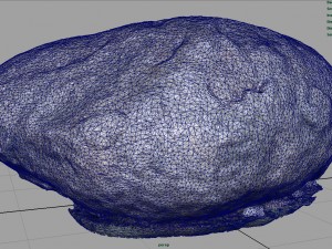 rock 13 3D Model