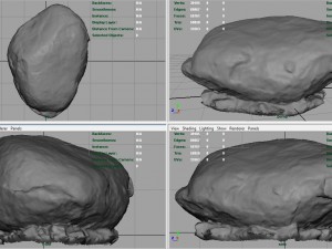 rock 13 3D Model