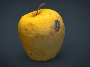 apple 3D 模型