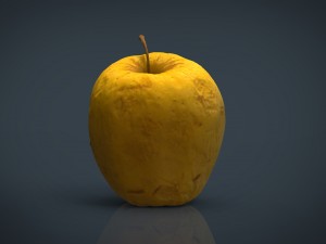 apple 3D 模型
