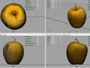 apple 3D Model