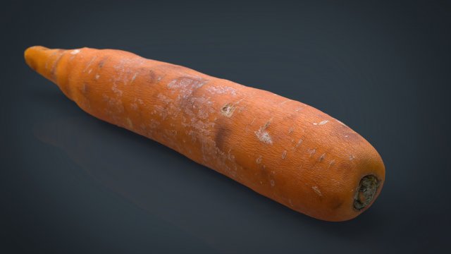 real carrot Model 3D .c4d .max .obj .3ds .fbx .stl .blend 