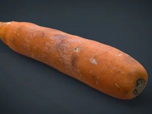 vraie carotte Modèle 3D