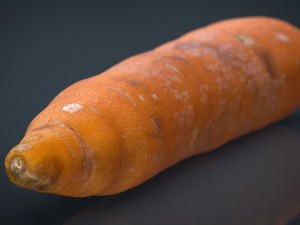 real carrot Model 3D