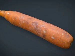 real carrot 3D Model
