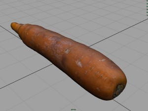 real carrot Model 3D
