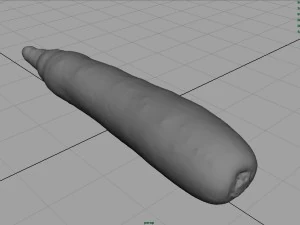 real carrot 3D Model