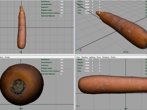 real carrot Model 3D
