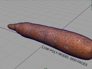 real carrot Model 3D