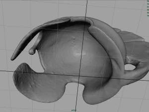 грецький шолом 3D Модель