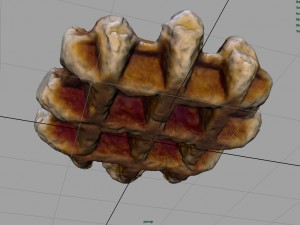 realistic waffle Modello 3D