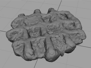 waffle chocolate 3D Model