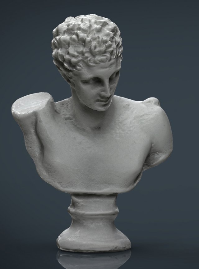 bust 3 3Dモデル .c4d .max .obj .3ds .fbx .stl .blend 