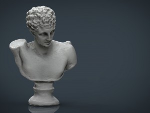 bust 3 3Dモデル