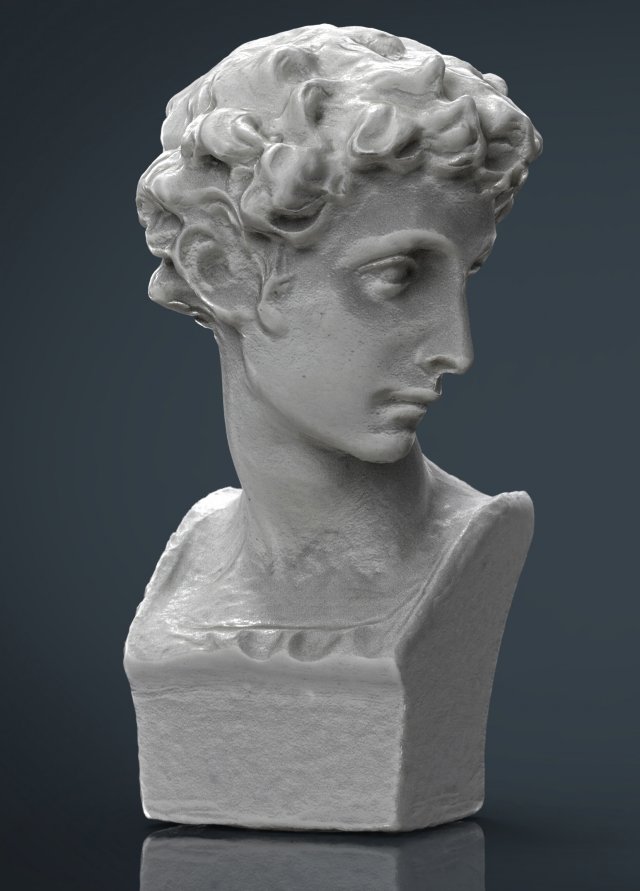 bust 5 3D 모델 .c4d .max .obj .3ds .fbx .stl .blend 