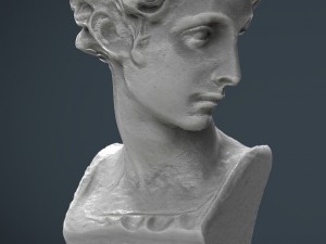 bust 5 3D-Modell