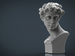 bust 5 3D 모델