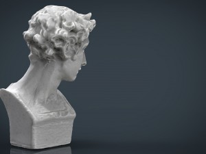 bust 5 3D 모델