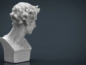 bust 5 3D Model