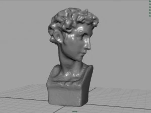 bust 5 3D Model