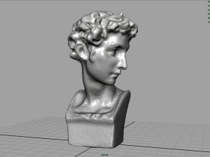 bust 5 3D 모델