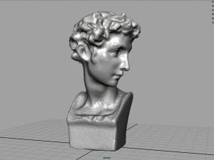 bust 5 3D Model