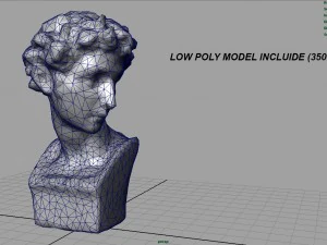bust 5 3D Model