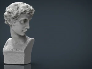 bust 5 3D Model
