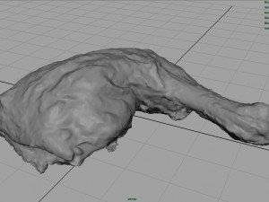 chicken thigh Model 3D