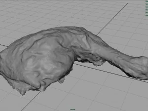 chicken thigh 3D Model